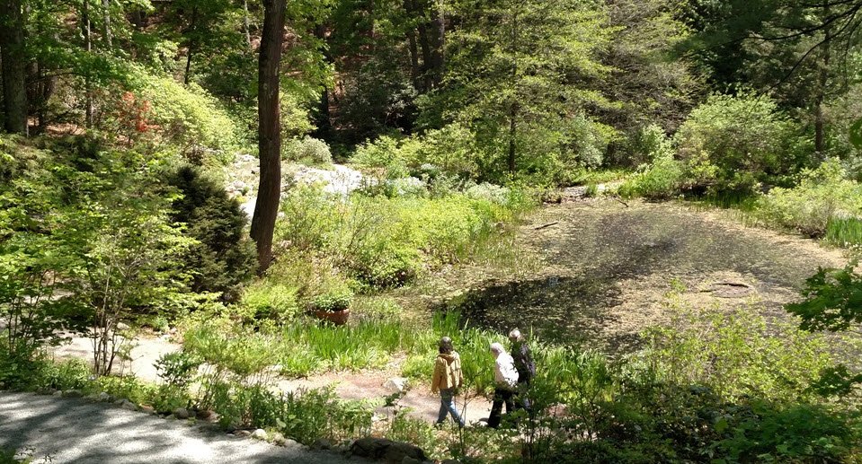 Garden in the Woods, United States